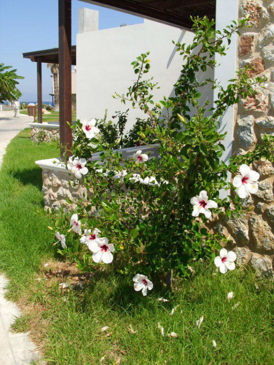 Schön Natura Park Village Hotel & Spa