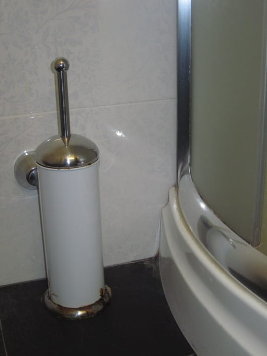 Verrostete, verschmutzte Toilettenbürste Hotel - Motel Flower