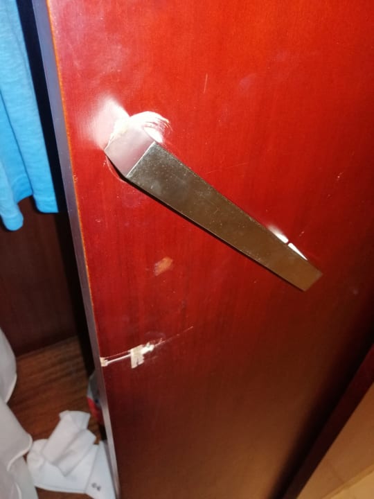 Zimmer Serenity Alma Heights