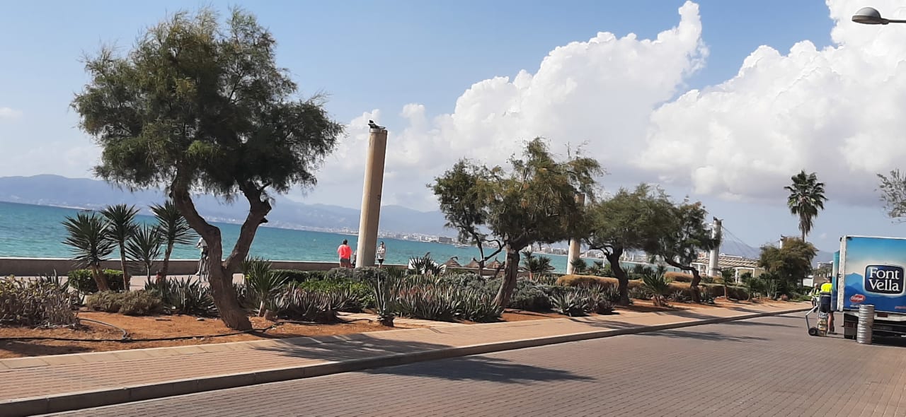 Strand MLL Palma Bay Club Resort