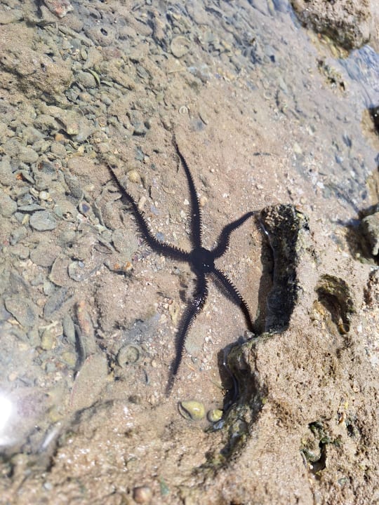 Strand Cleopatra Luxury Resort Makadi Bay