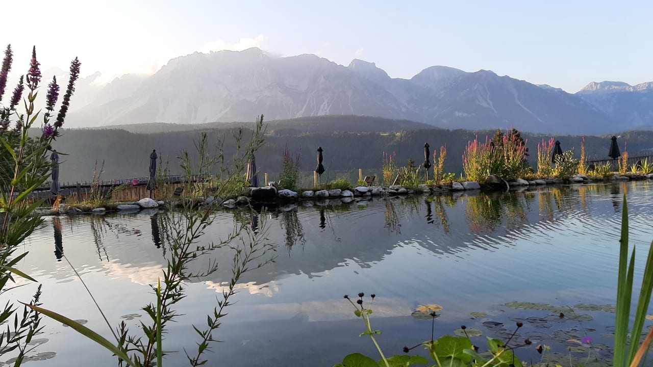 Pool Burgfellnerhof - Adults Only