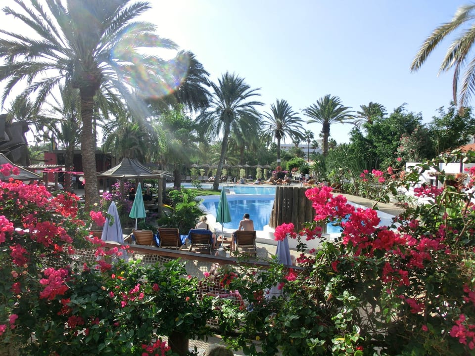 Aussicht auf den Pool HL Miraflor Suites Hotel