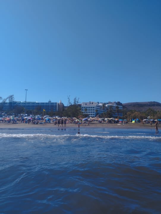 Strand Corallium Beach by Lopesan Hotels - Adults only