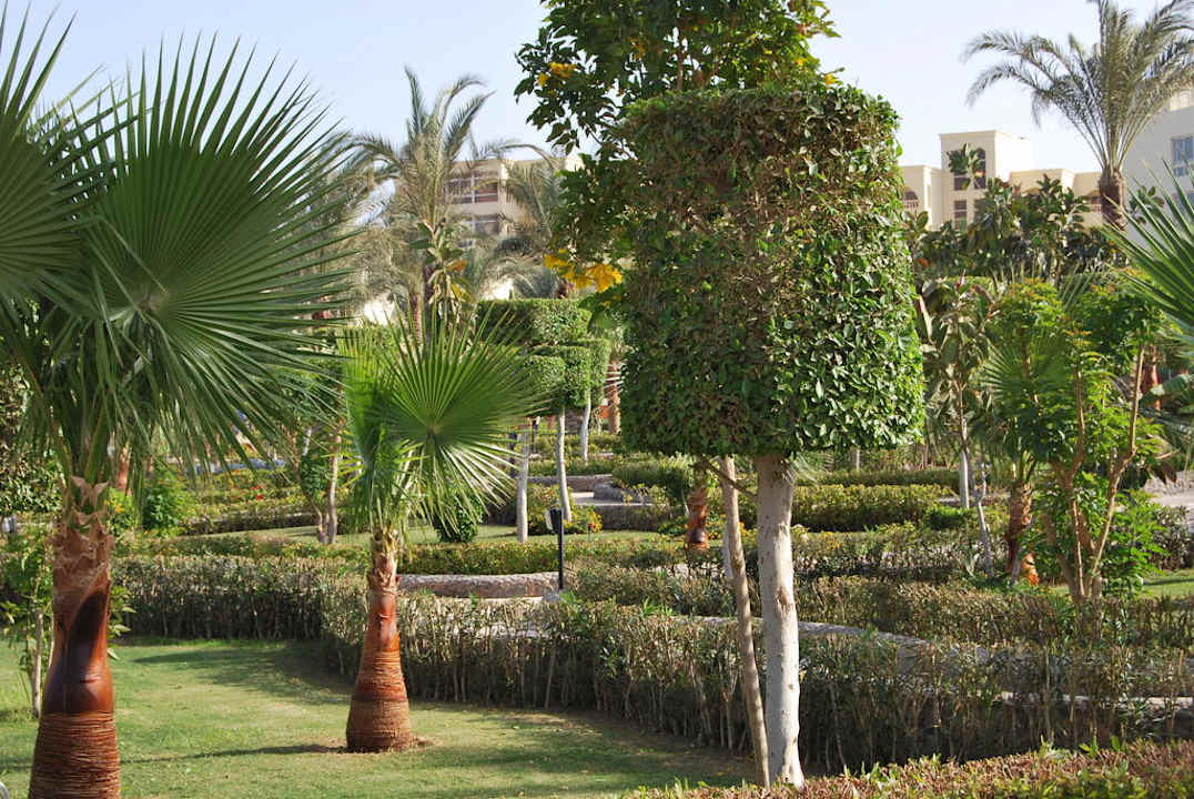 Зелень в пустыне Riviera Aqua Park Resort