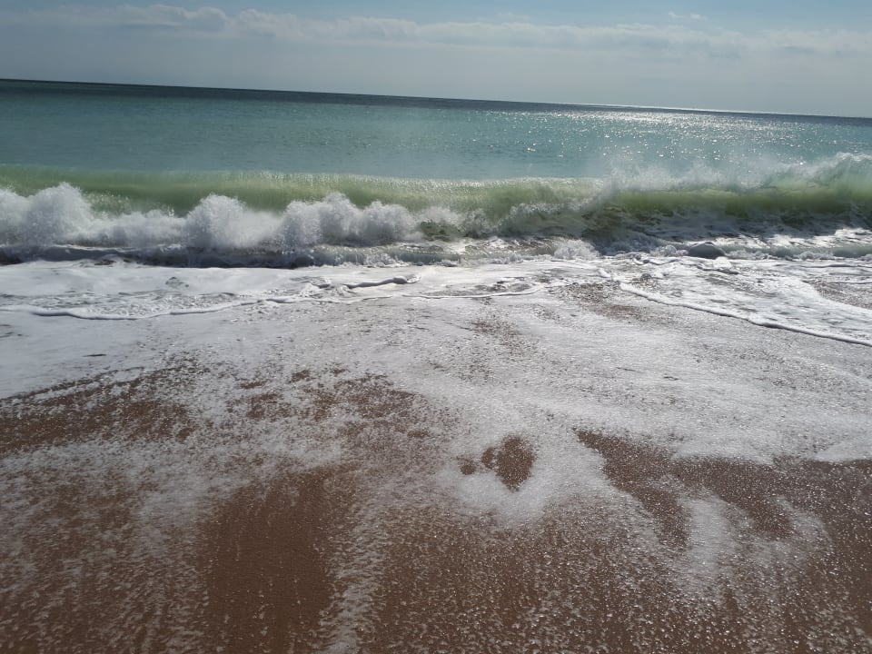 Strand Sentido Marea