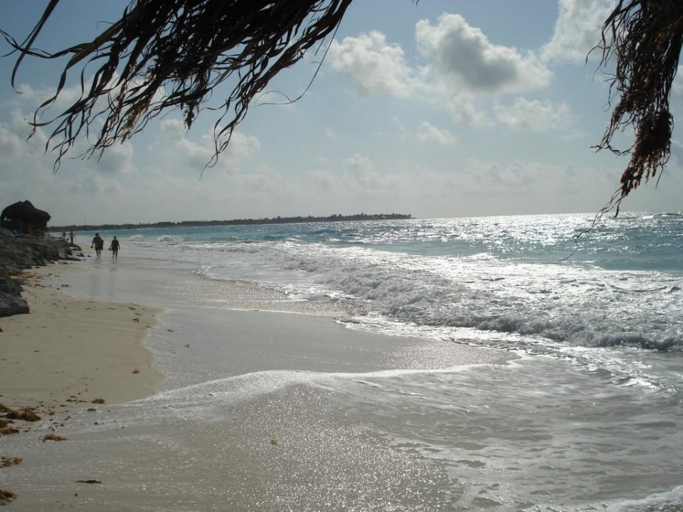 Schmaler Hotel-Strand Hotel Cayo Largo del Sol