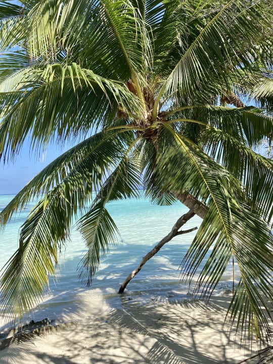 Strand Adaaran Select Hudhuran Fushi - Premium All Inclusive