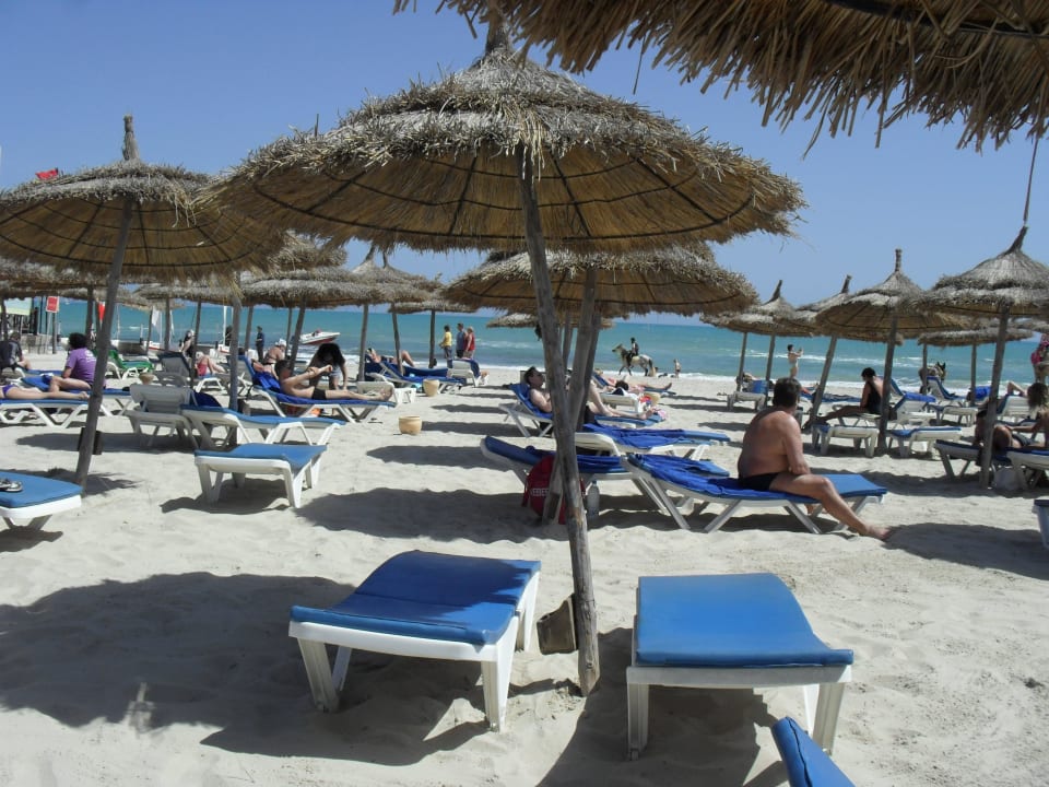 Plage TUI MAGIC LIFE Penelope Beach