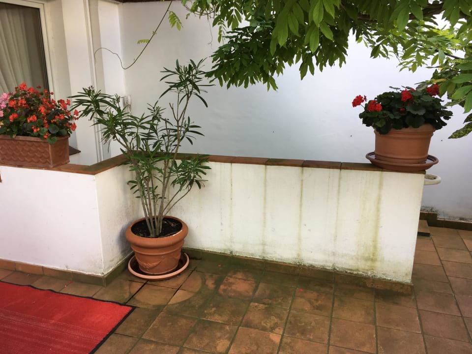 Ungepflegter Eingansbereich Hotel Meeresblick