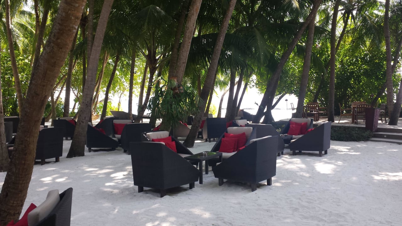 Sails Bar under the palms Baros Maldives Resort