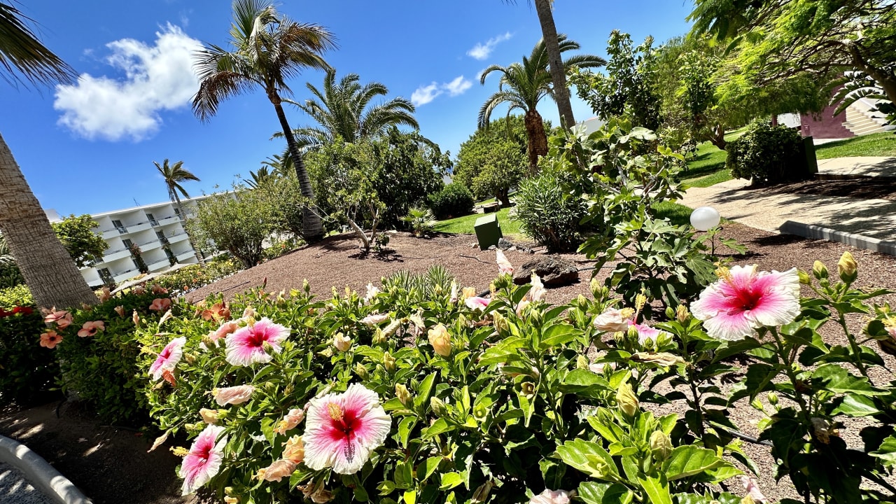 Gartenanlage allsun App.-Hotel Esquinzo Beach