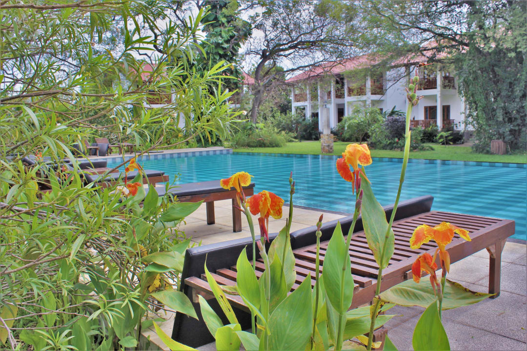 Pool Blue Turtle Hotel