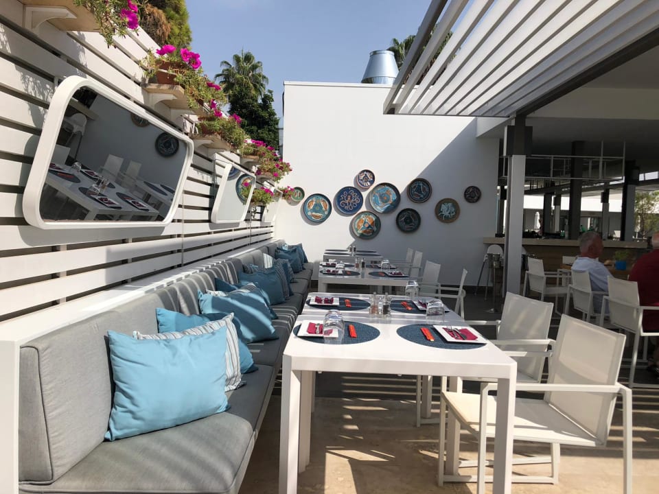 Gastro Acanthus Cennet Barut Collection