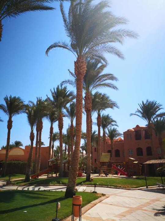 Gartenanlage Jaz Makadi Oasis Resort