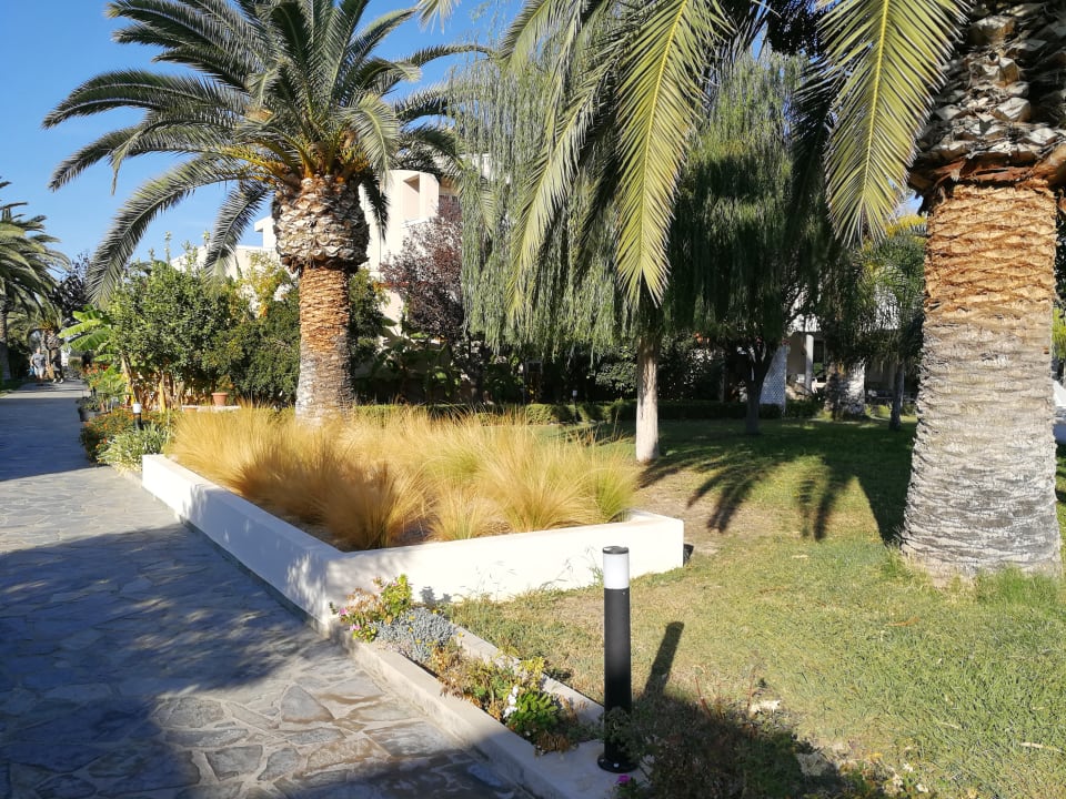 Gartenanlage Hotel Esperia