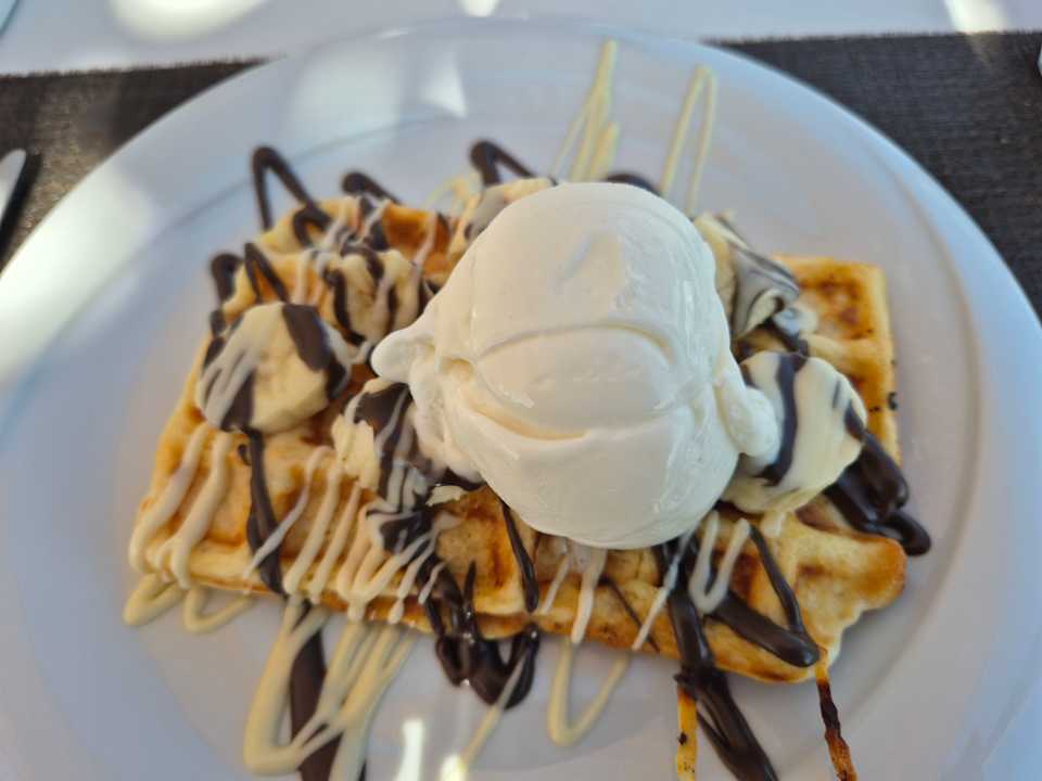 Gastro Seashell Vega