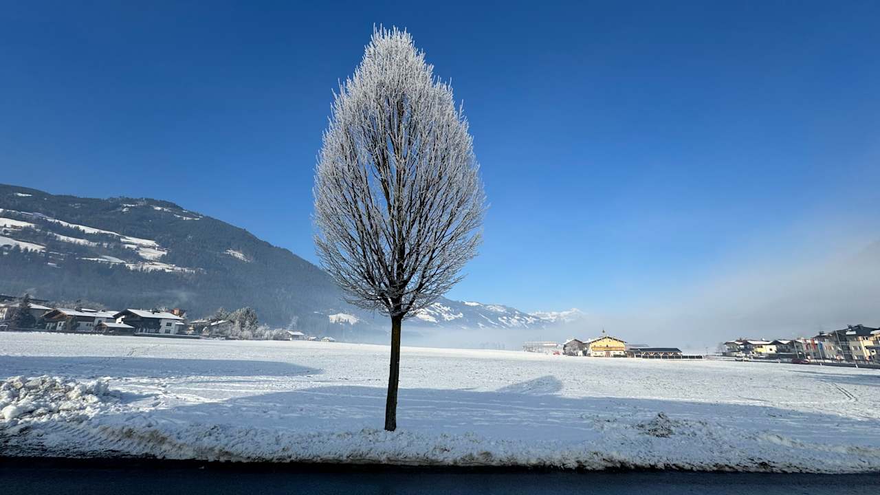 Ausblick Platzlhof - Mein Hotel im Zillertal