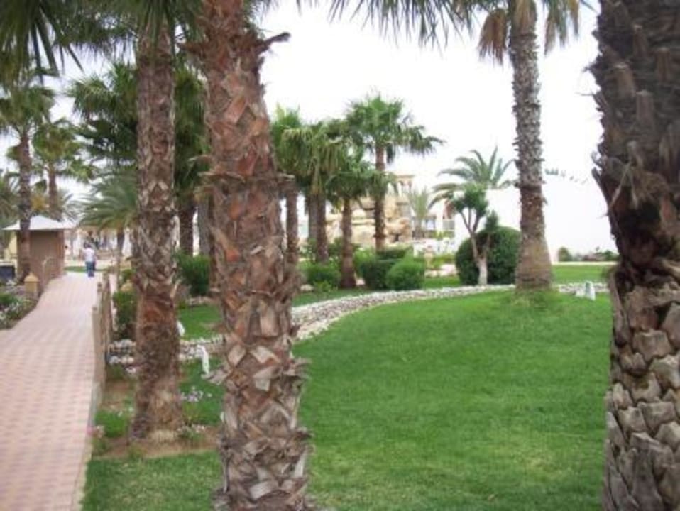 Weg zum Strand Steigenberger Marhaba Thalasso Hammamet