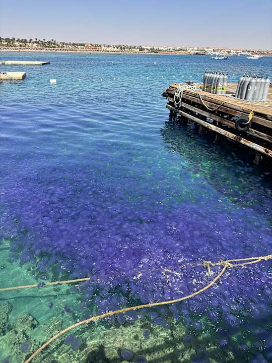 Sonstiges Cleopatra Luxury Resort Makadi Bay