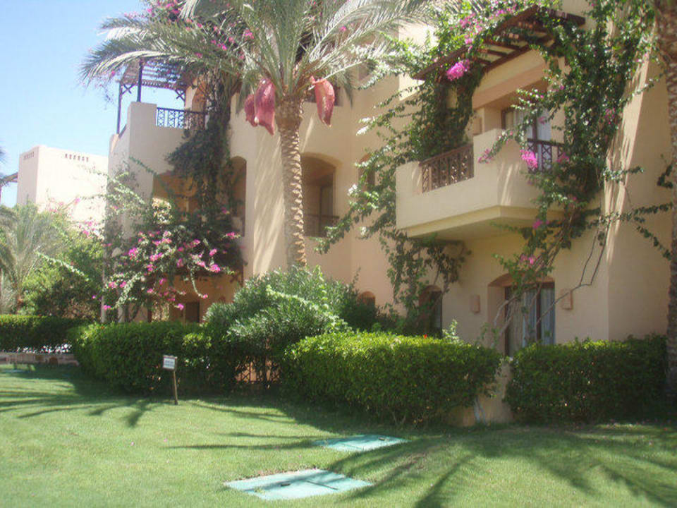 Вот такой вот вид домиков Steigenberger Coraya Beach - Adults only