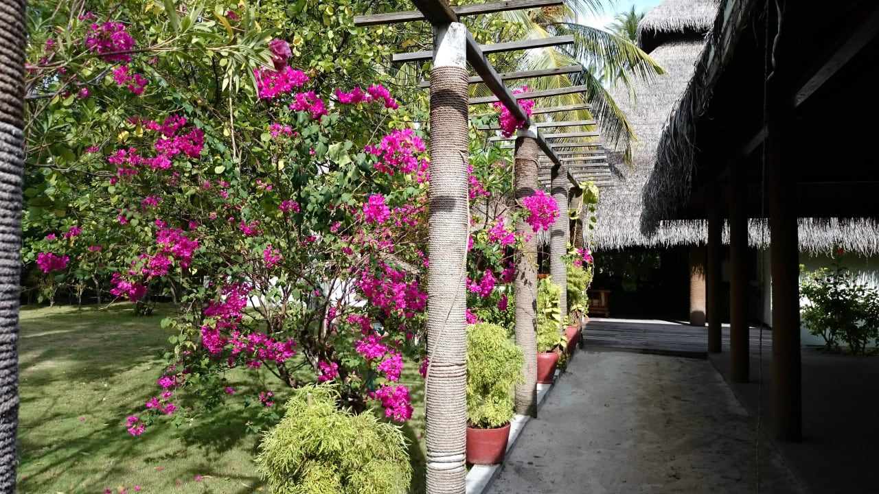 Ankunftslounge Filitheyo Island Resort