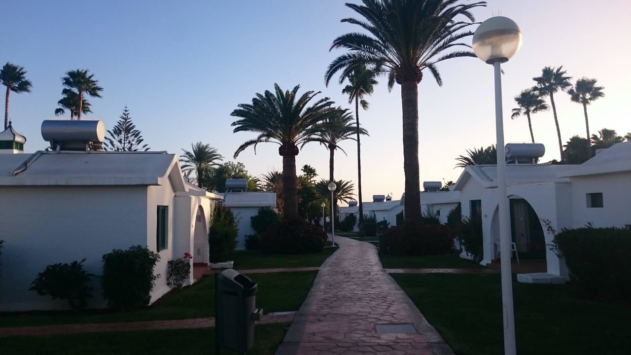 Anlage Canary Garden Club