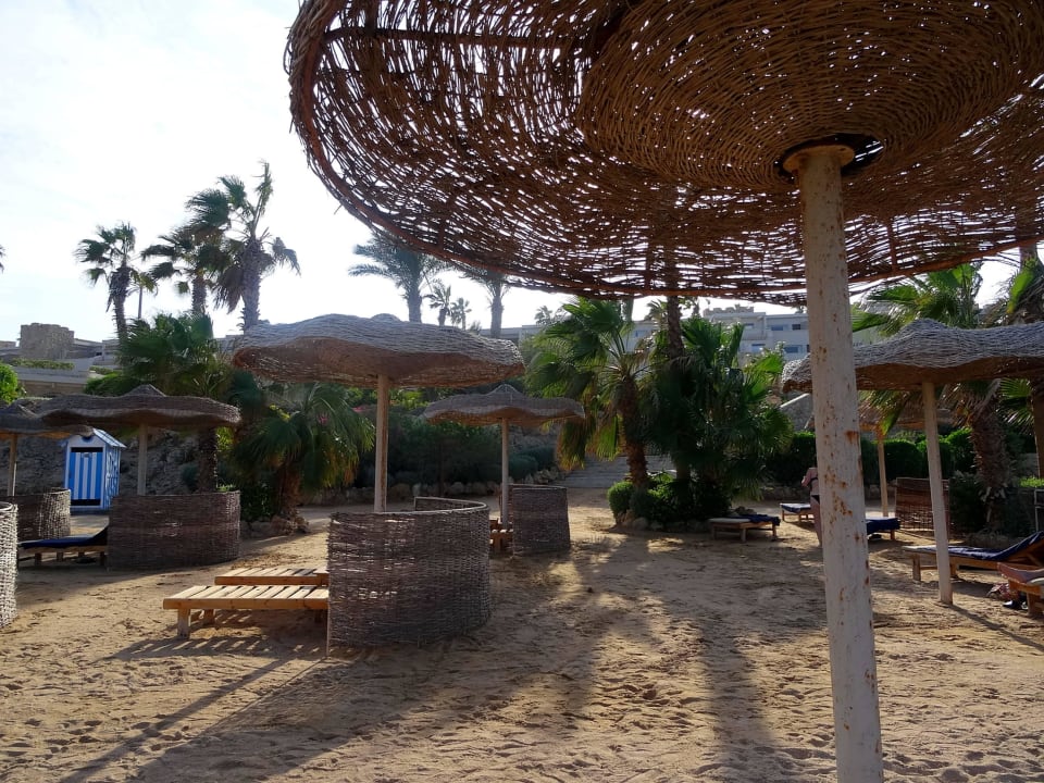 Aussicht Pickalbatros Citadel Resort