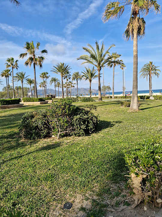 Strand Hipotels Hipocampo Playa