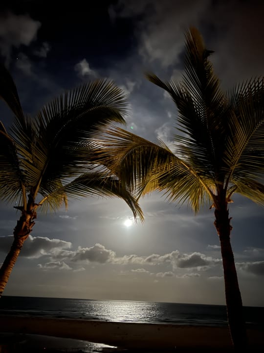Zimmer Iberostar Selection Fuerteventura Palace