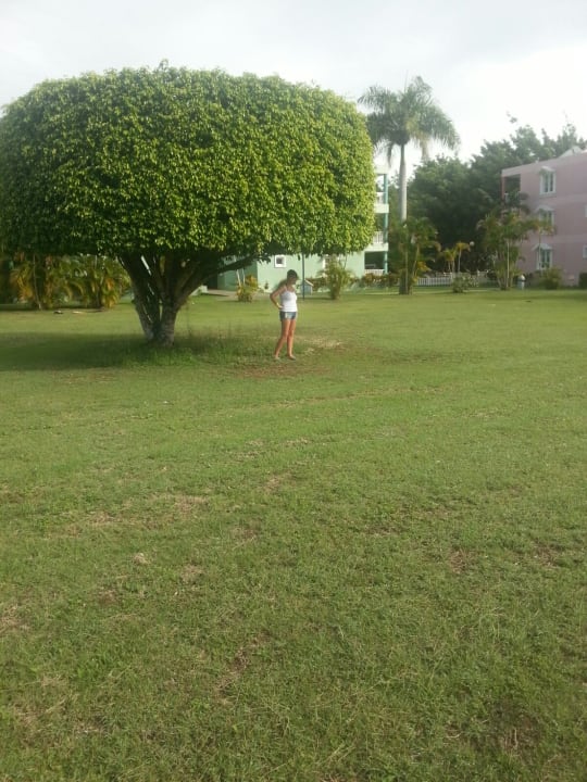 Gartenanlage Puerto Plata Village