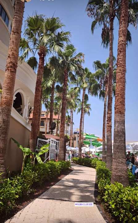 Pool allsun Numa Club Side