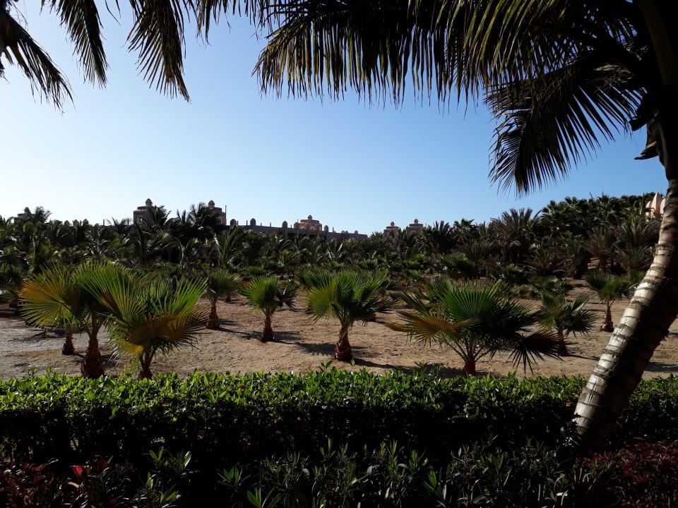 Gartenanlage Hotel Riu Cabo Verde