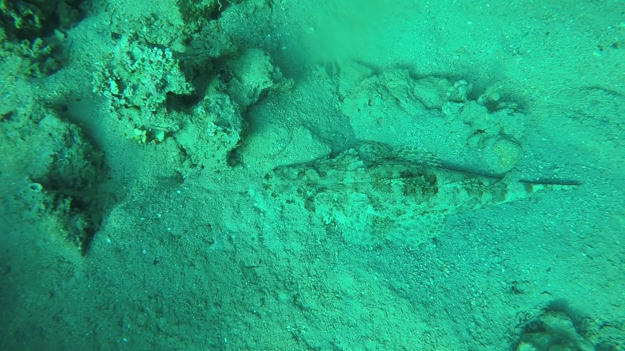 Sport & Freizeit Cleopatra Luxury Resort Makadi Bay