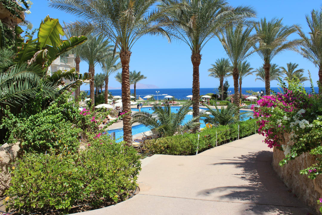 Basen na niższym poziomie Stella Di Mare Beach Hotel & Spa, Sharm El Sheikh