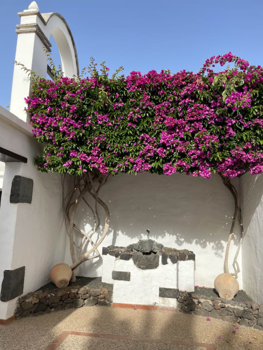 Gartenanlage Paradisus by Meliá Salinas Lanzarote