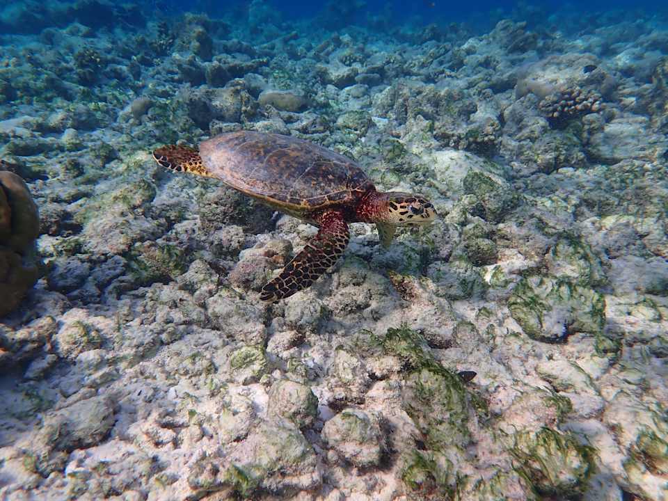 Strand Dreamland The Unique Sea & Lake Resort / Spa