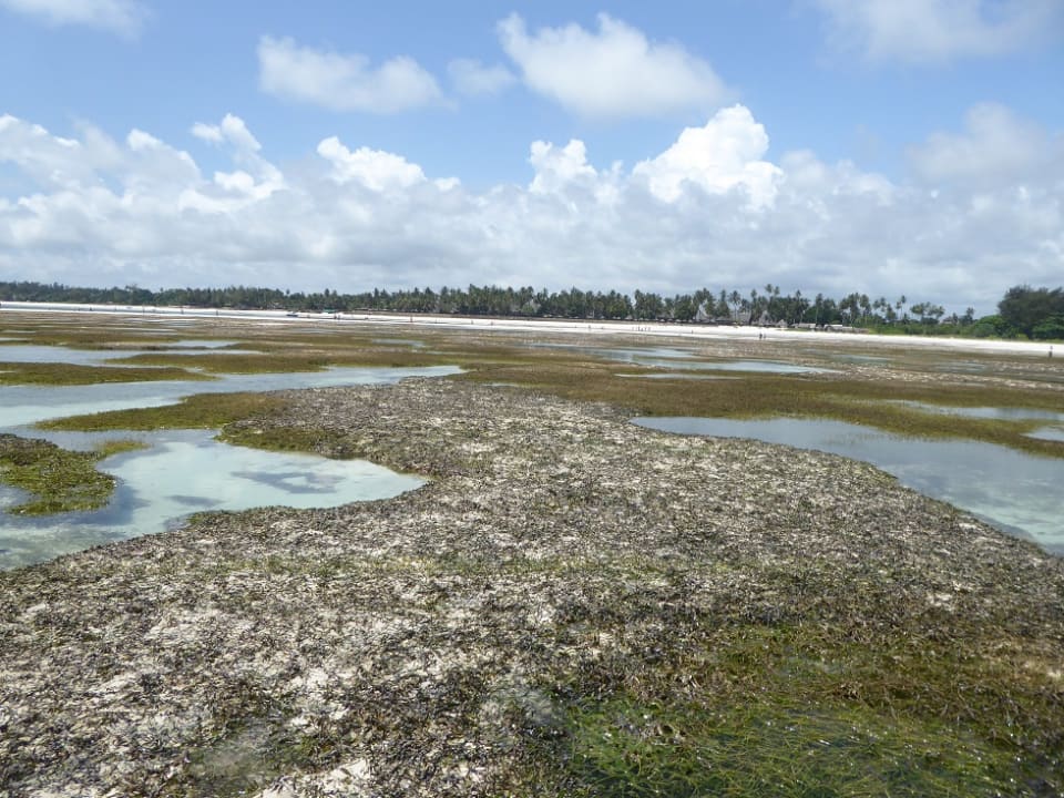 Strand Neptune Village Beach Resort & Spa