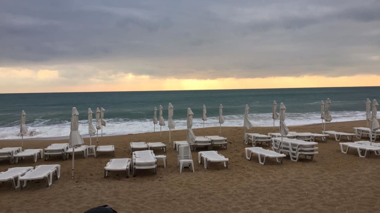 Strand Sentido Marea