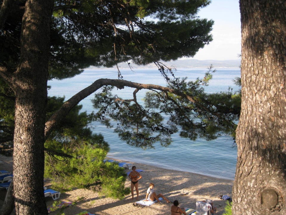 Blick zum Strand Villa Bacchus