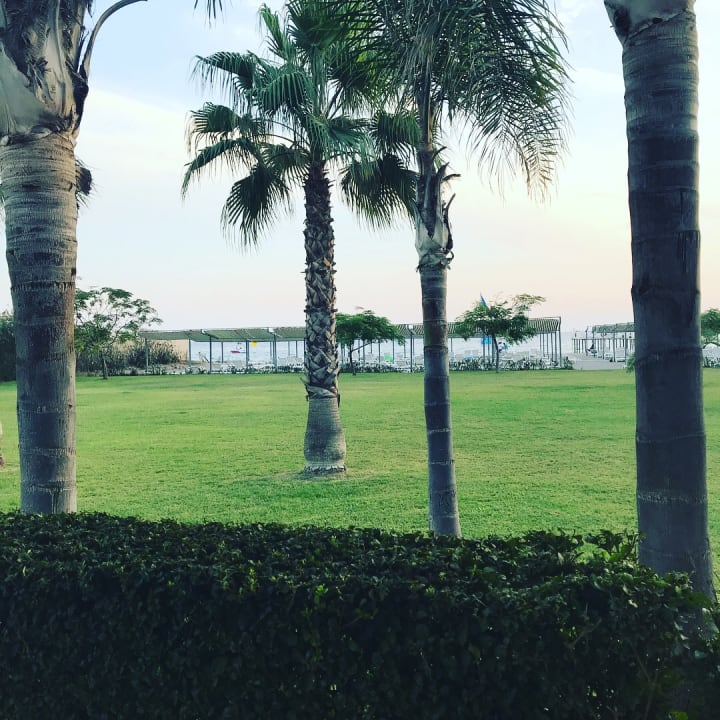 Garten Sunis Elita Beach Resort & Spa