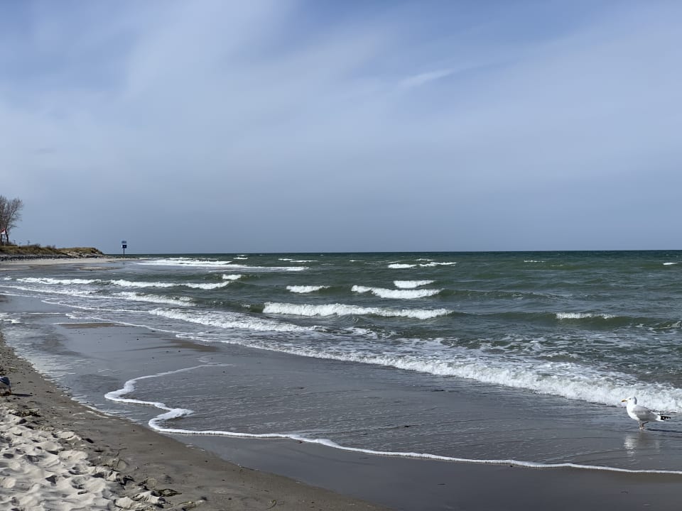 Strand Bretterbude Heiligenhafen
