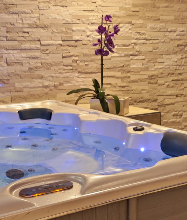 Vitamine Wellness Area Best Western Plus Executive Hotel & Suites