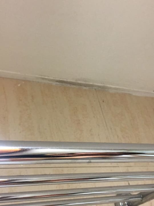 Zimmer htop Royal Star