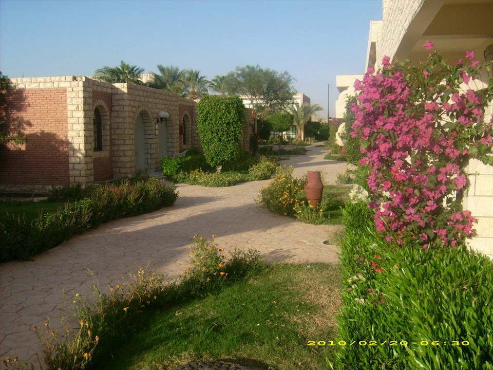 Gepflegte Anlage Aladdin Beach Resort