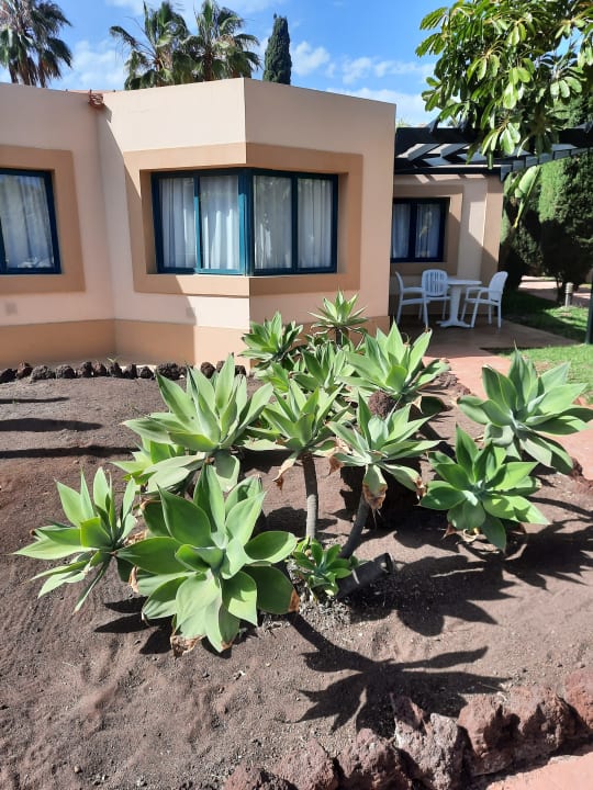 Sonstiges allsun Hotel Esplendido