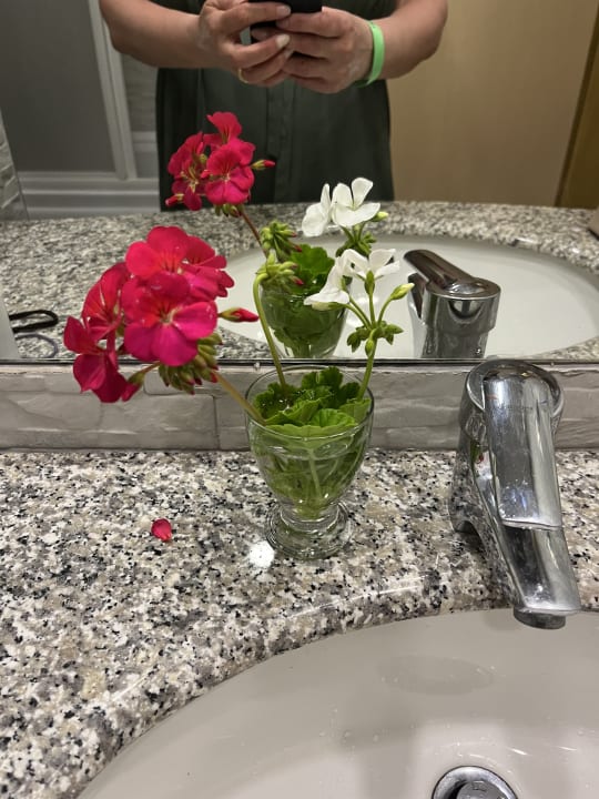 Zimmer VONRESORT Golden Coast