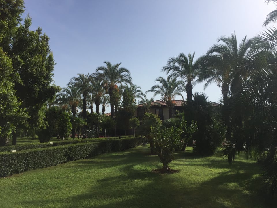 Gartenanlage TUI BLUE Palm Garden