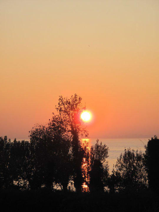 Blick vom Balkon auf den Sonnenuntergang Hotel Caesius Therme & Spa Resort