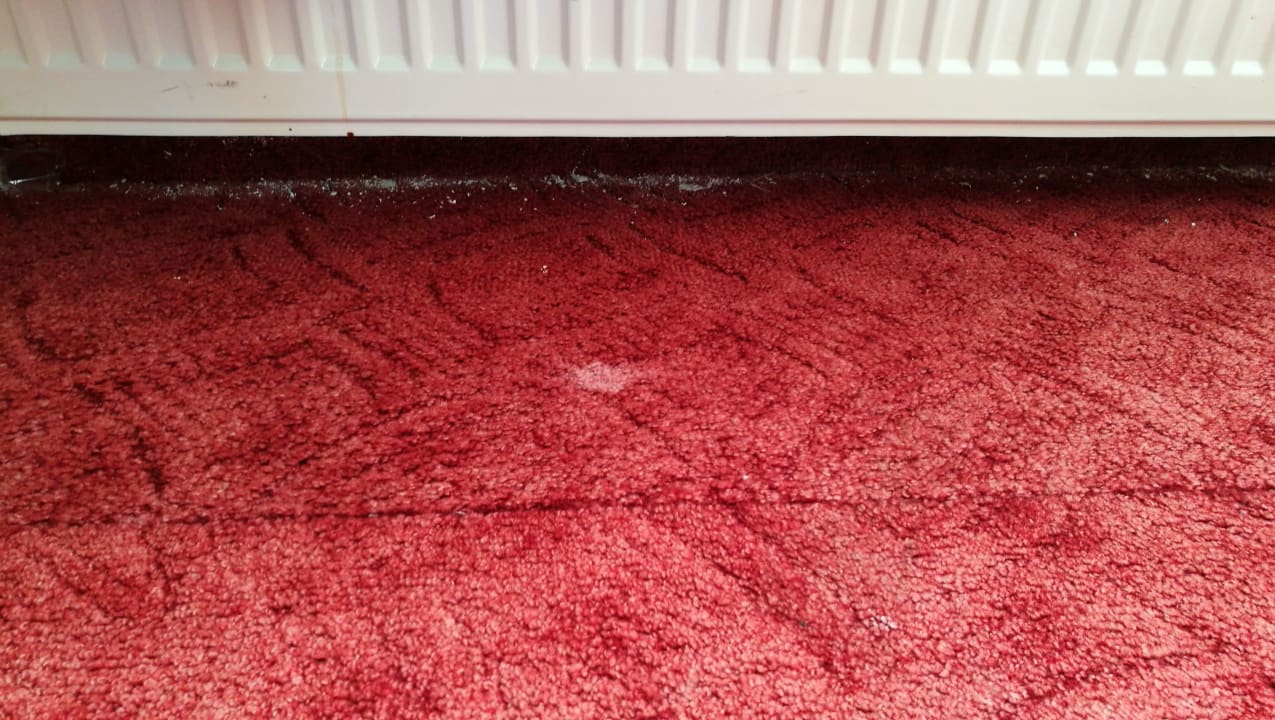 Zimmer Hotel Nevada Hamburg